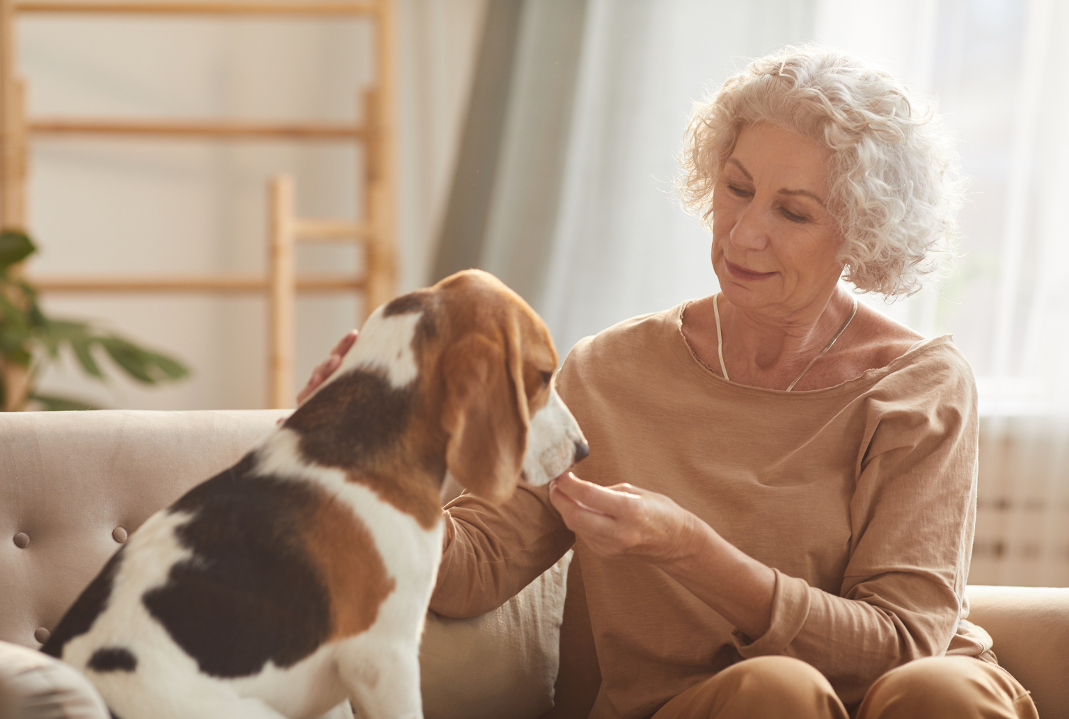 Benefits of Pet Ownership for Seniors